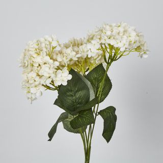 White Hydrangea Bush x 7