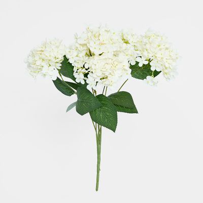 White Hydrangea Bush x 7