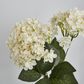 White Hydrangea Bush x 7