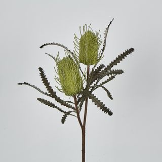 Green Banksia Spray x 2