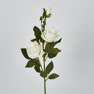 Cream White Rose Spray