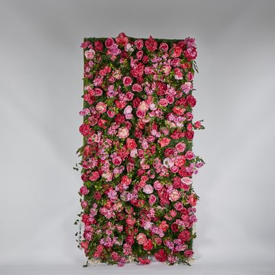 Fuchsia Hot Pink Rose Camelia Blossom Wall 120x240cm