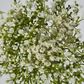 White Gyp Bush Bouquet