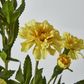 Yellow Marigold Spray 6 flowers 3 buds