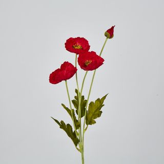 Red Poppy Spray 3 Flowers 1 bud