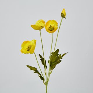 Yellow Poppy Spray 3 Flowers 1 bud