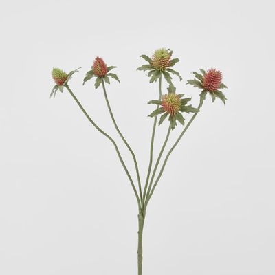 Red Green Thistle Spray x 5