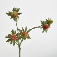 Red Green Thistle Spray x 5