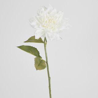 62cm White Dahlia