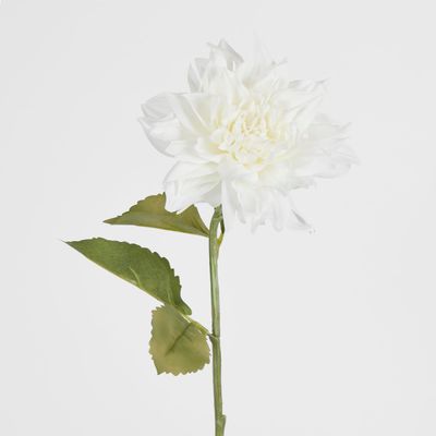 62cm White Dahlia