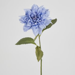 62cm Blue Dahlia