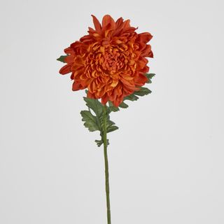 76cm Chrysanthemum