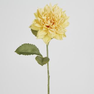 62cm Yellow Dahlia