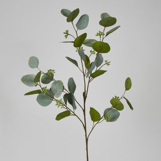 87cm Green Eucalyptus with Seed