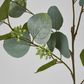 87cm Green Eucalyptus with Seed