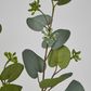 71cm Grey Green Eucalyptus with Seed