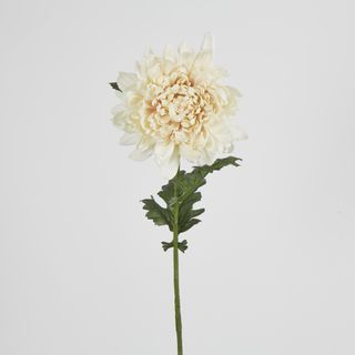 76cm Chrysanthemum