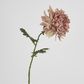 76cm Chrysanthemum
