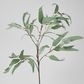 98cm Grey Eucalyptus Saligna Branch