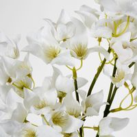 83cm White Bougainvillea Branch