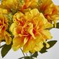 Gold Marigold Bush x 5