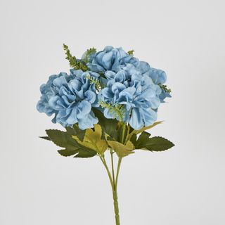 Blue Marigold Bush x 5