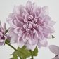 Lavender Chrysanthemum Spray x 3