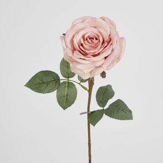 Dusty Pink Rose 63cm