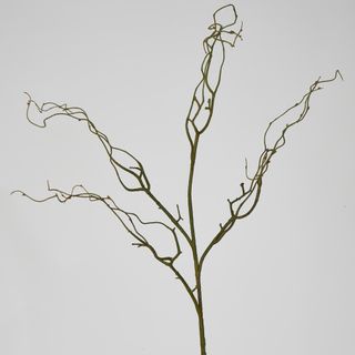 Green Twig Branch 104cm