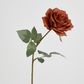 Copper Rose 63cm