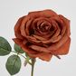 Copper Rose 63cm