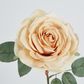 Butter Cream Rose 63cm