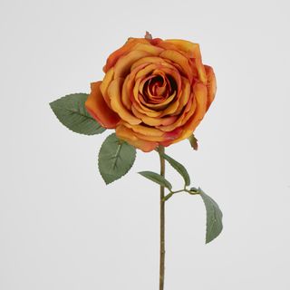 Yellow Gold Rose 63cm