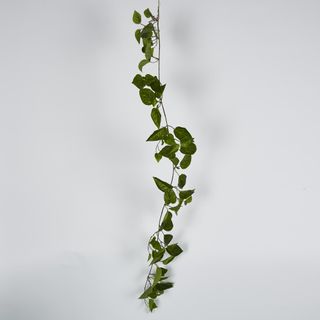 5ft Green Pothos Garland UV Protected