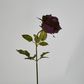 Long Stem Rose Purple