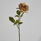Long Stem Rose Capaccino