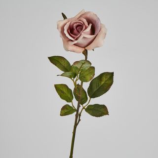 Long Stem Dusty Pastel Pink Rose