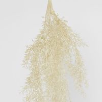 Beige Floating Fern Bush