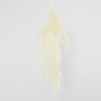 Beige Floating Fern Bush