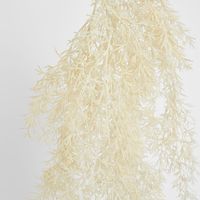 Beige Floating Fern Bush