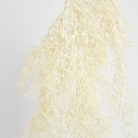 Beige Floating Fern Bush