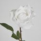 Long Stem Rose Pure White