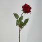 Long Stem Rose Red