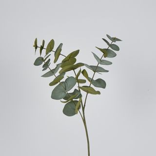 Grey Green Eucalyptus Spray