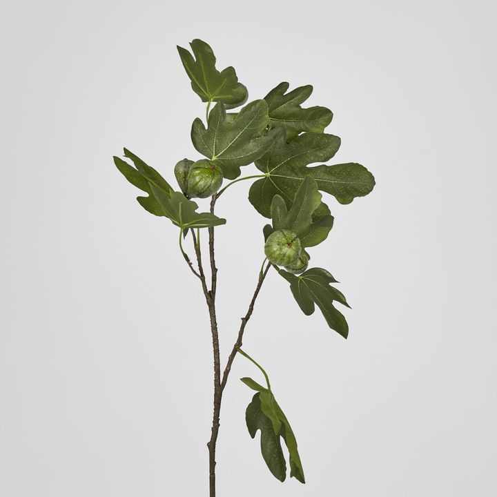 Fig Stem With Fruits 81cm