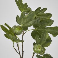 Fig Stem With Fruits 81cm