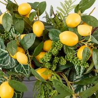 Lemon Stem With Fruits 98cm