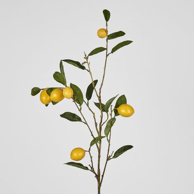 Lemon Stem With Fruits 98cm