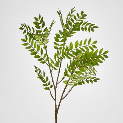 Sorbus Leaf Spray 108cm