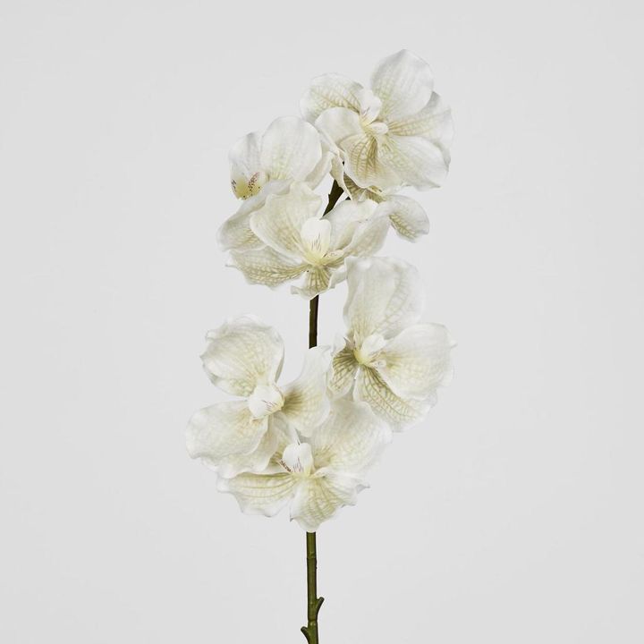 Real Touch phalaenopsis Orchid 78cm White